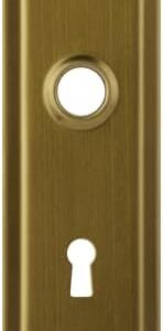 Newliplace 2 Pack Mortise Lock Door Plates for Interior Doors, Old Style Mortise Door Knob Cover Backplate Replacement, Antique Brass Door Escutcheon Plates -
